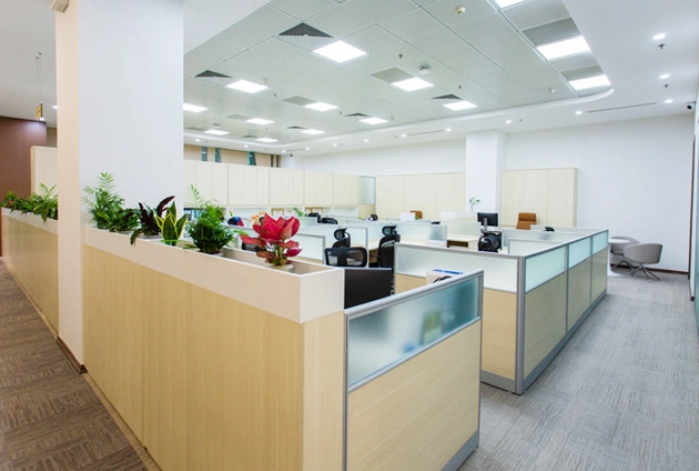Office Fit Out Services in Dubai Royal Aesthetic Interior